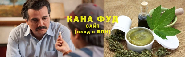индика Арсеньев