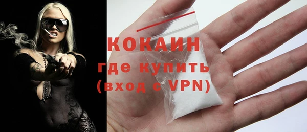 индика Арсеньев