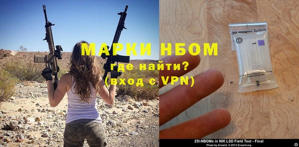 индика Арсеньев