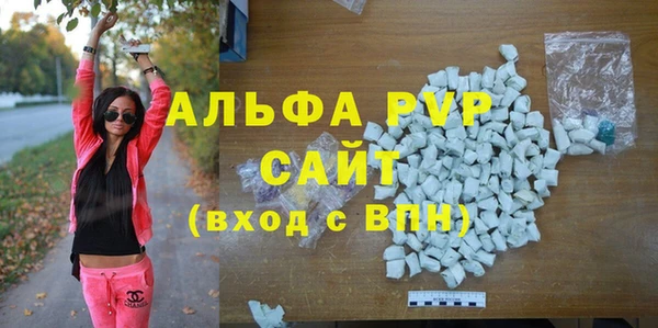 индика Арсеньев
