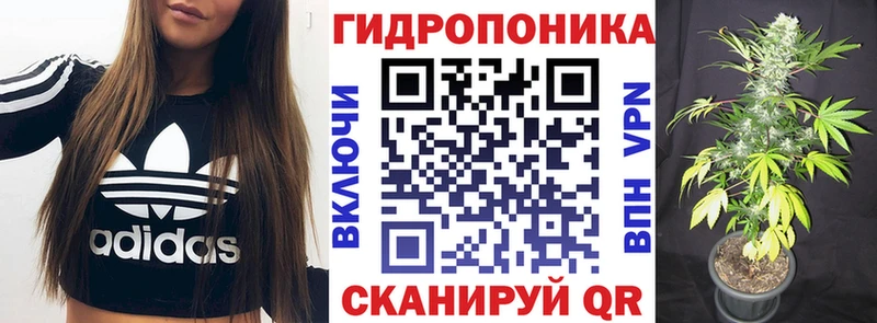 Купить закладки  Жирновск  Марихуана ГИДРОПОН 